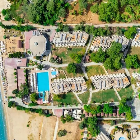 Maya World Didyma Дидим