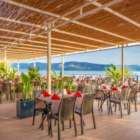 Maya World Didyma Дидим