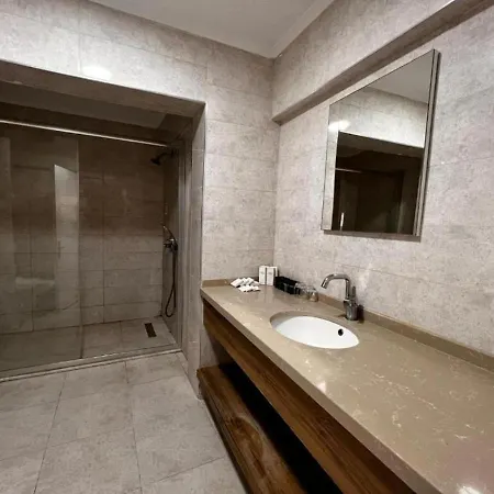 Maya World Didyma Дидим